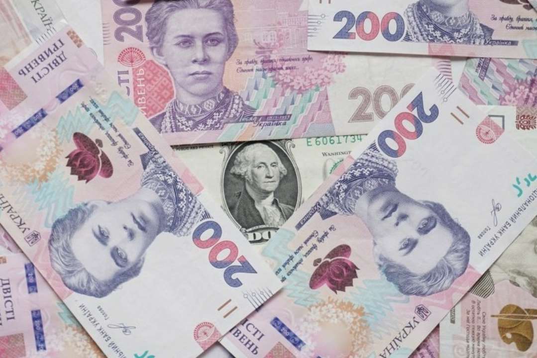 Субсидия для ФЛП субсидия 2024