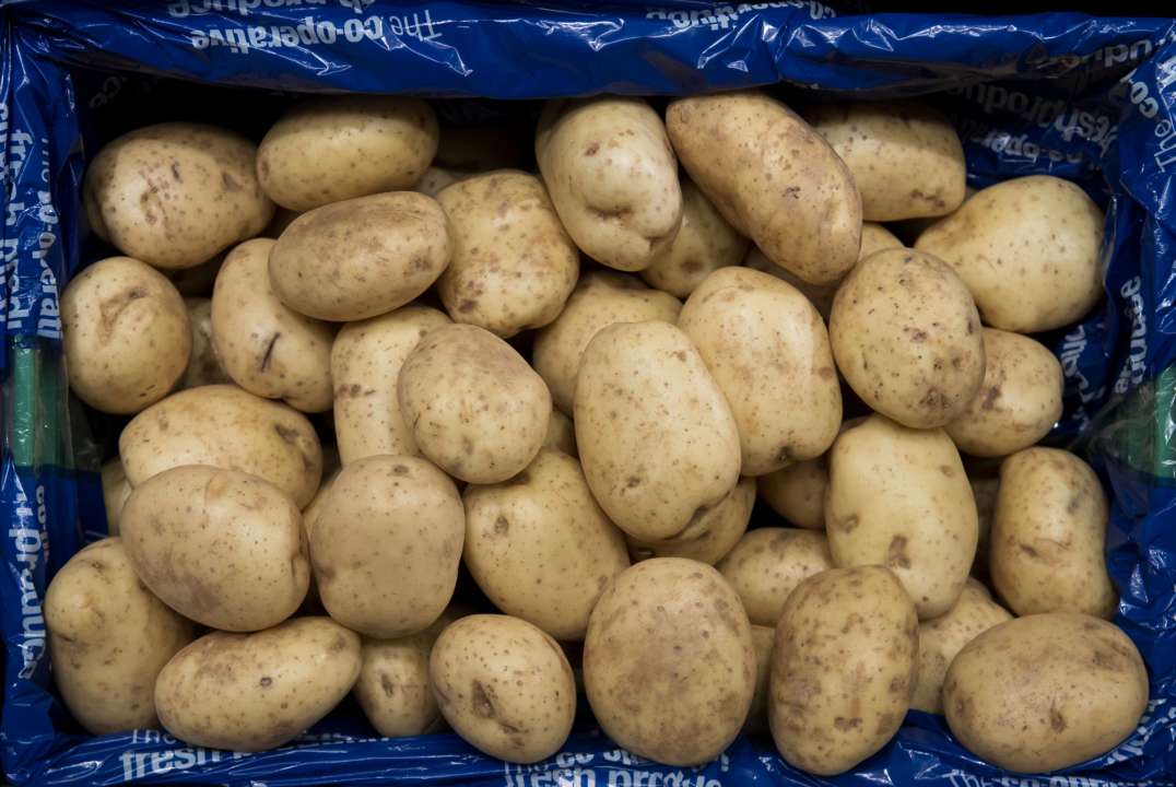 Дешево и просто: как очистить окна с помощью картофеля