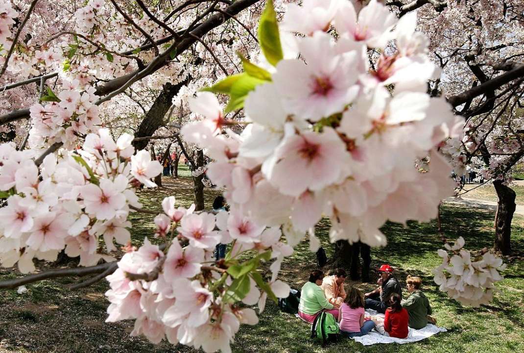 Погода на майские праздники: тепло, но с дождями