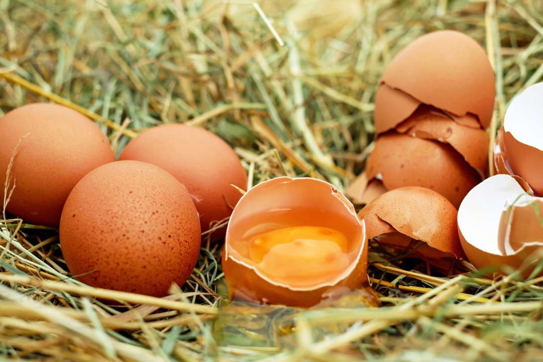 Не спешите выбрасывать: как можно использовать яичную скорлупу