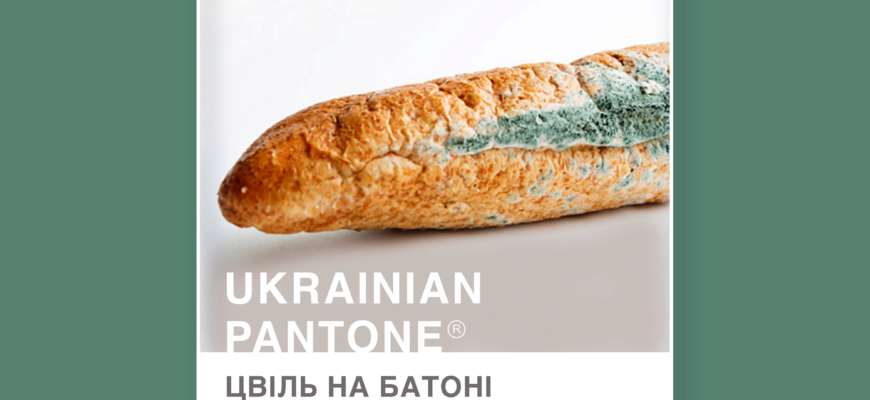 Зображення: Ira Hetman/medium Бурачковий і ружовий: дизайнер створила українську версію кольорів Pantone
