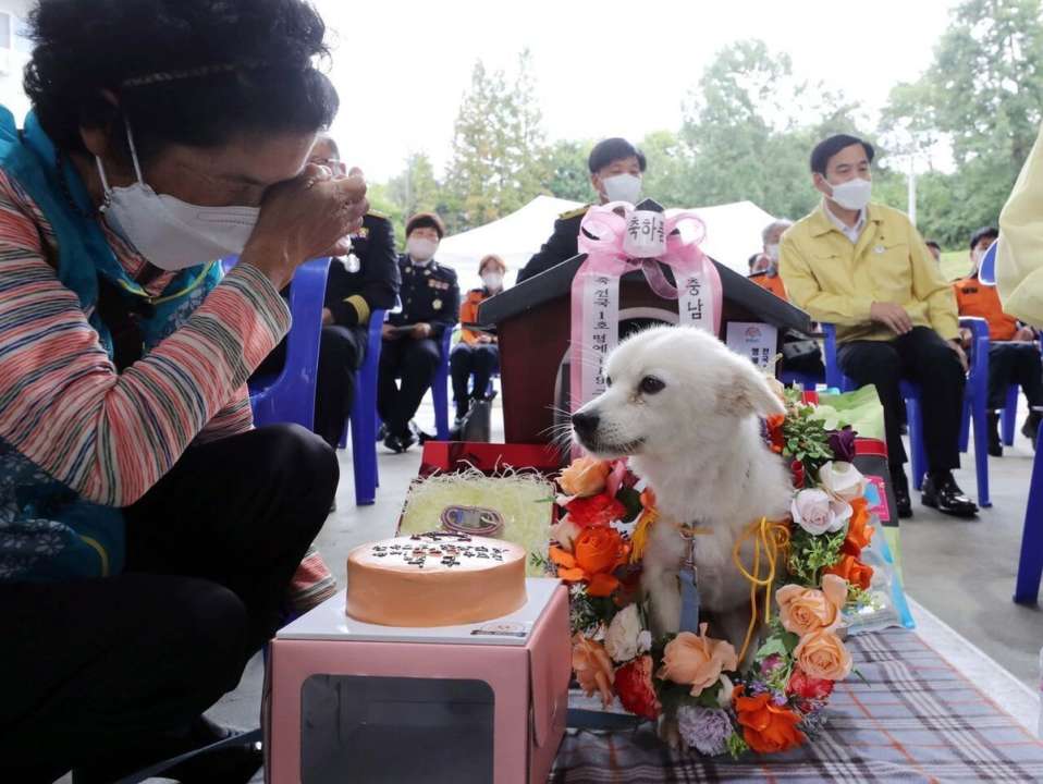 В Южной Корее собака спасла 90-летнюю женщину