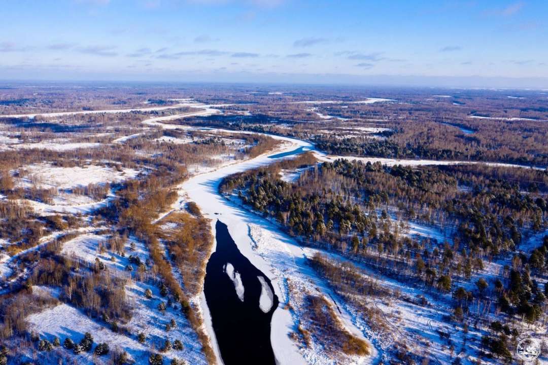 У Чорнобилі помітили звіра, який належить до вимираючого виду/Фото: Чорнобильський радіаційно-екологічний біосферний заповідник/Facebook У Чорнобилі на фото потрапив зникаючий вид тварин
