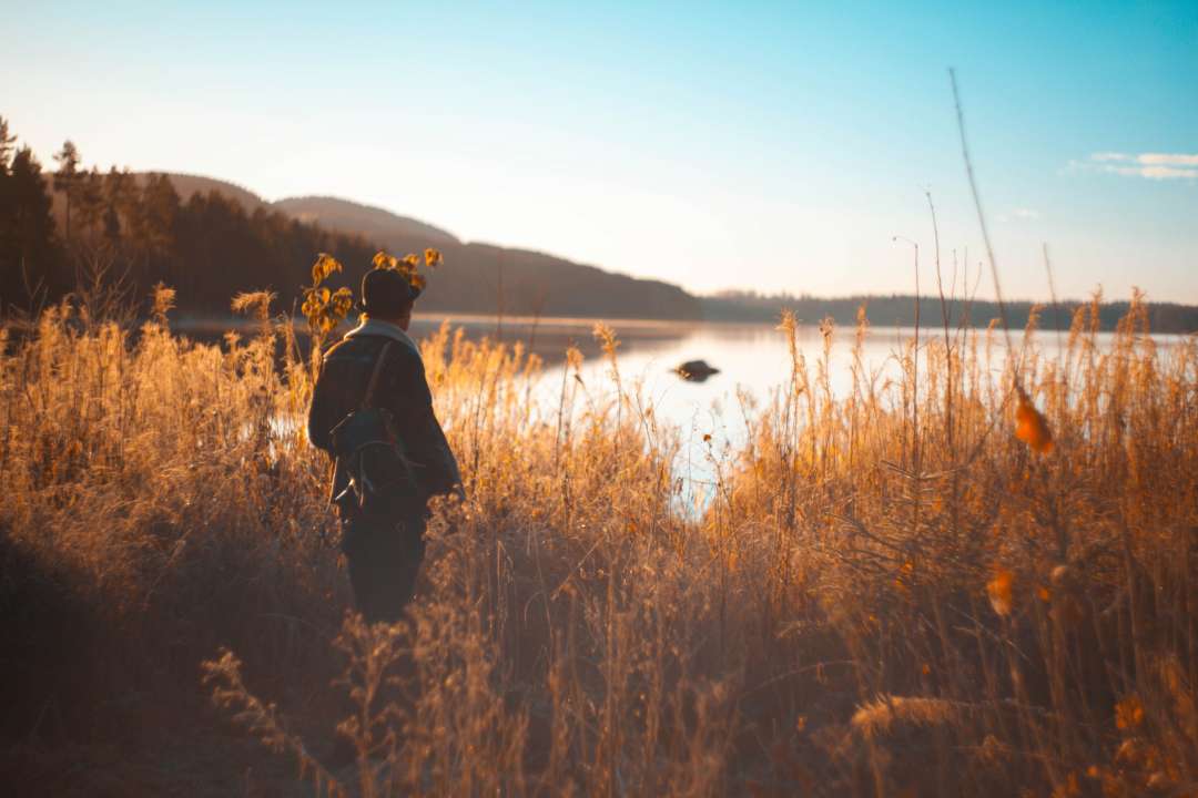 День ангела Валерия/Фото: Unsplash