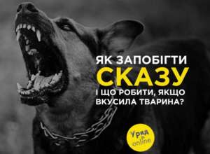 Где искать такие заведения и действительно ли делают "40 уколов в живот" – смотрите в видео Где искать такие заведения и действительно ли делают "40 уколов в живот" – смотрите в видео