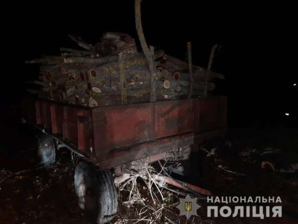 Поліція Одеської області затримала чоловіків, які незаконно рубали ліс