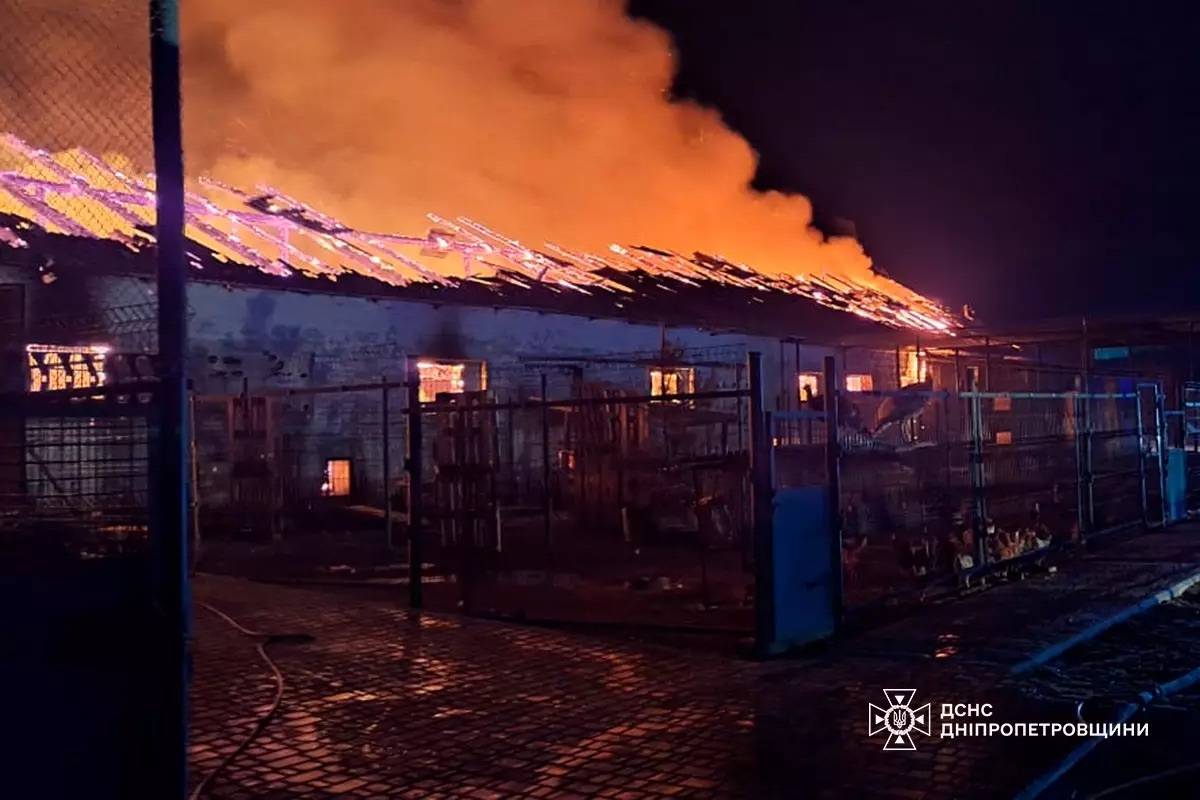 На Дніпропетровщині сталася пожежа на території конеферми/Фото: ДСНС На Дніпропетровщині сталася пожежа на території конеферми/Фото: ДСНС