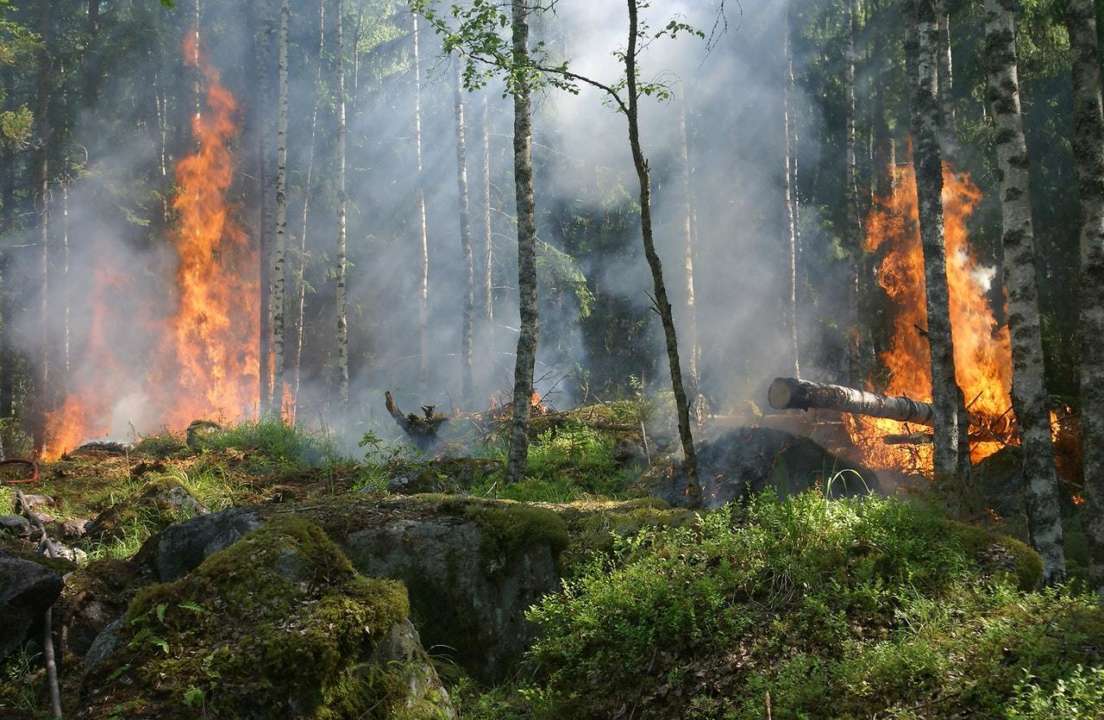 У росії через війну в Україні не можуть загасити лісові пожежі