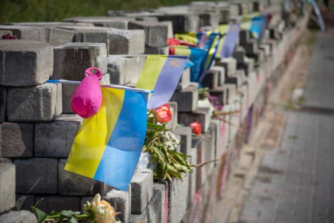 Фото с https://unsplash.com/ Мероприятия ко Дню достоинства и свободы в 2023 году состоятся под лозунгом "Заряженные достоинством