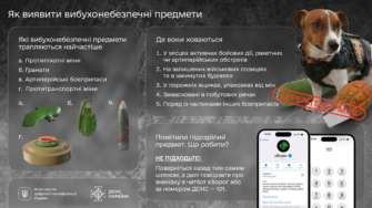 Как сообщить о взрывоопасных предметах / Фото: Минцифра Минная опасность: как сообщить об опасных предметах в чатбот еВорог