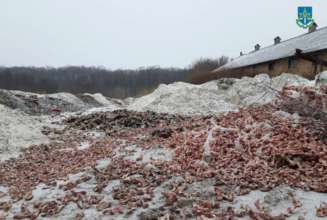Посадовець отримував гроші за нібито переробку простроченого продовольства в корм для тварин і добрива На Київщині підприємство забруднило тушами померлих тварин понад 1,3 гектари земель