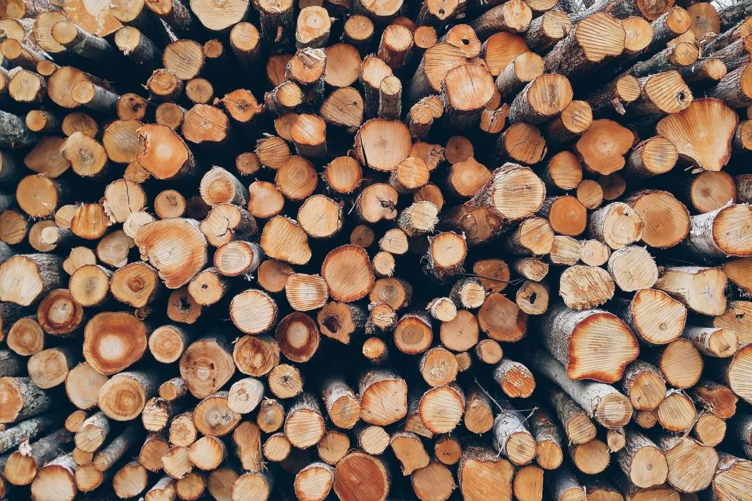 Україні вдалося заготувати рекордний запас паливної деревини. Фото: Pixabay Україні вдалося заготувати рекордний запас паливної деревини