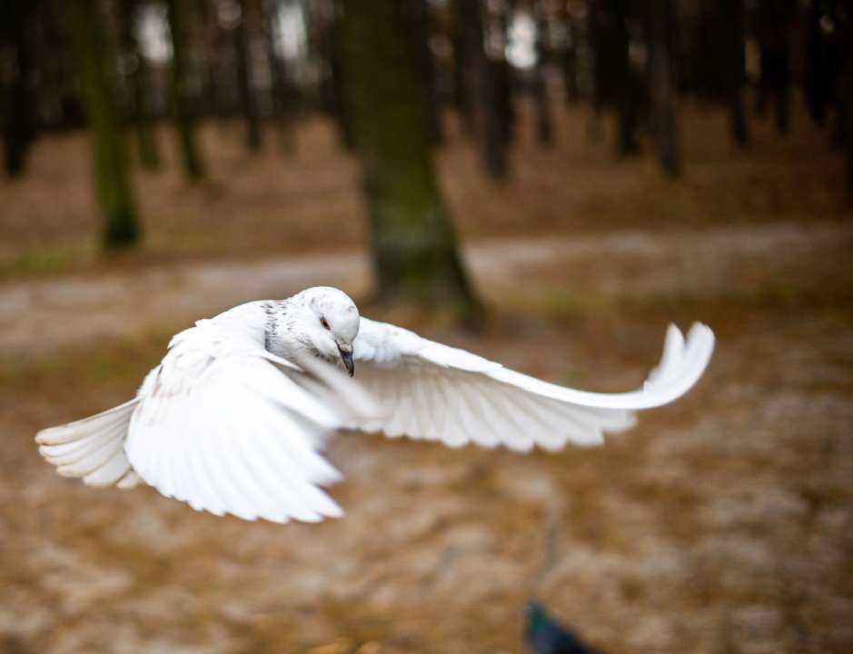 День ангела 14 ноября/Фото: Unsplash День ангела 14 ноября/Фото: Unsplash