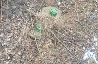 СБУ задержала предателя в Херсонской области/Фото: СБУ СБУ задержала предателя в Херсонской области/Фото: СБУ