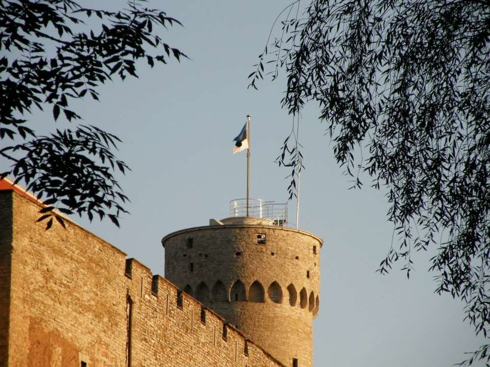 Эстония меняет условия временной защиты для украинцев / Фото: Pixabay В Эстонии изменят условия защиты украинцев