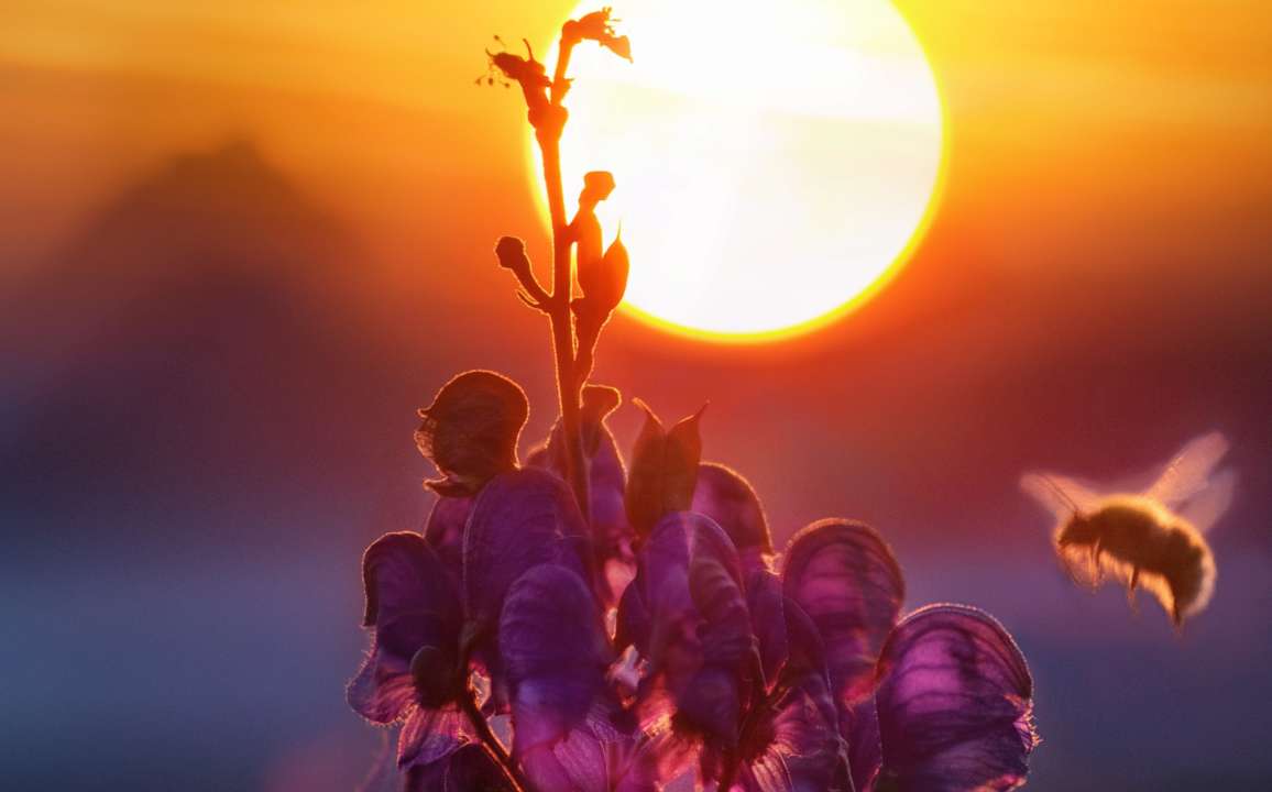 Прогноз погоди на 10 липня/Фото: pexels Прогноз погоди на 10 липня: спека поступово спадатиме