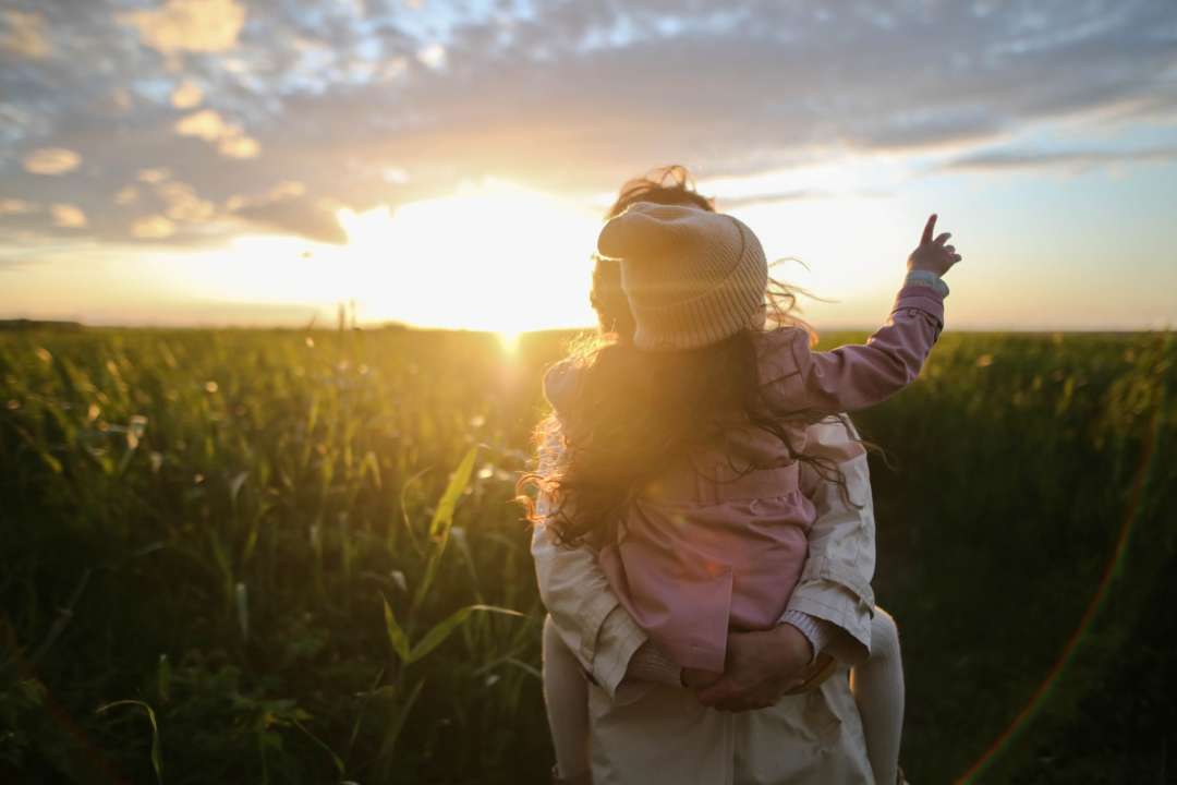 Фото с https://www.pexels.com/ Какие выплаты может получить одинокая мать или отец