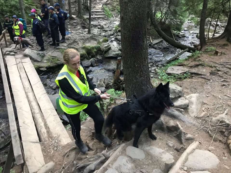 На Говерлі шукають хлопчика, який відстав від туристичної групи