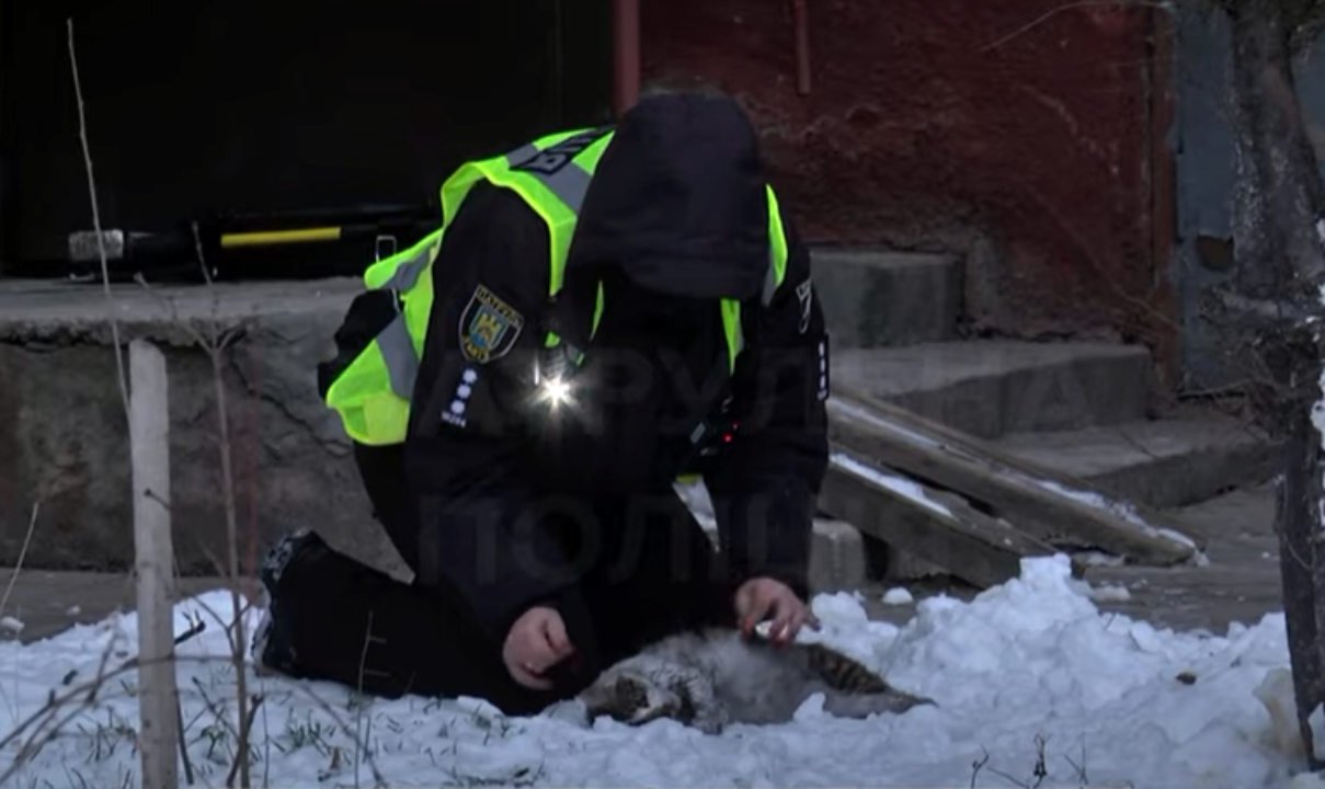 У Львові поліцейські врятували та реанімували кішку