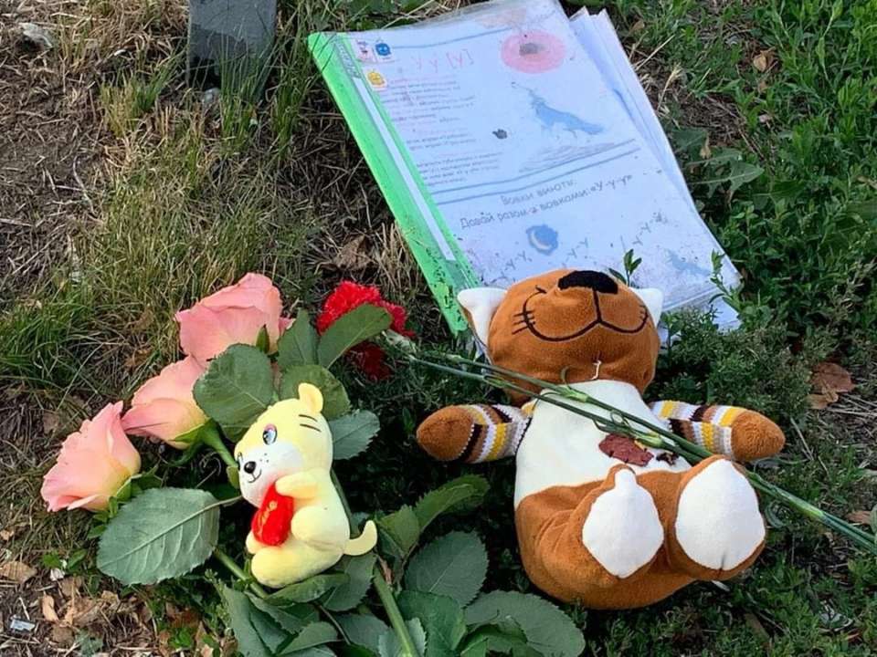 Ракетний обстріл Вінниці: у поліції назвали кількість загиблих та зниклих без вісті/Фото: Верховна Рада Іграшки