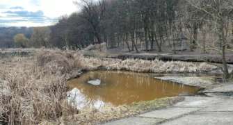 В одном из озер Киева вода изменила цвет/Фото: Соседи Голосеев/Facebook В Голосеевском парке Киева озеро изменило цвет: в чем причина