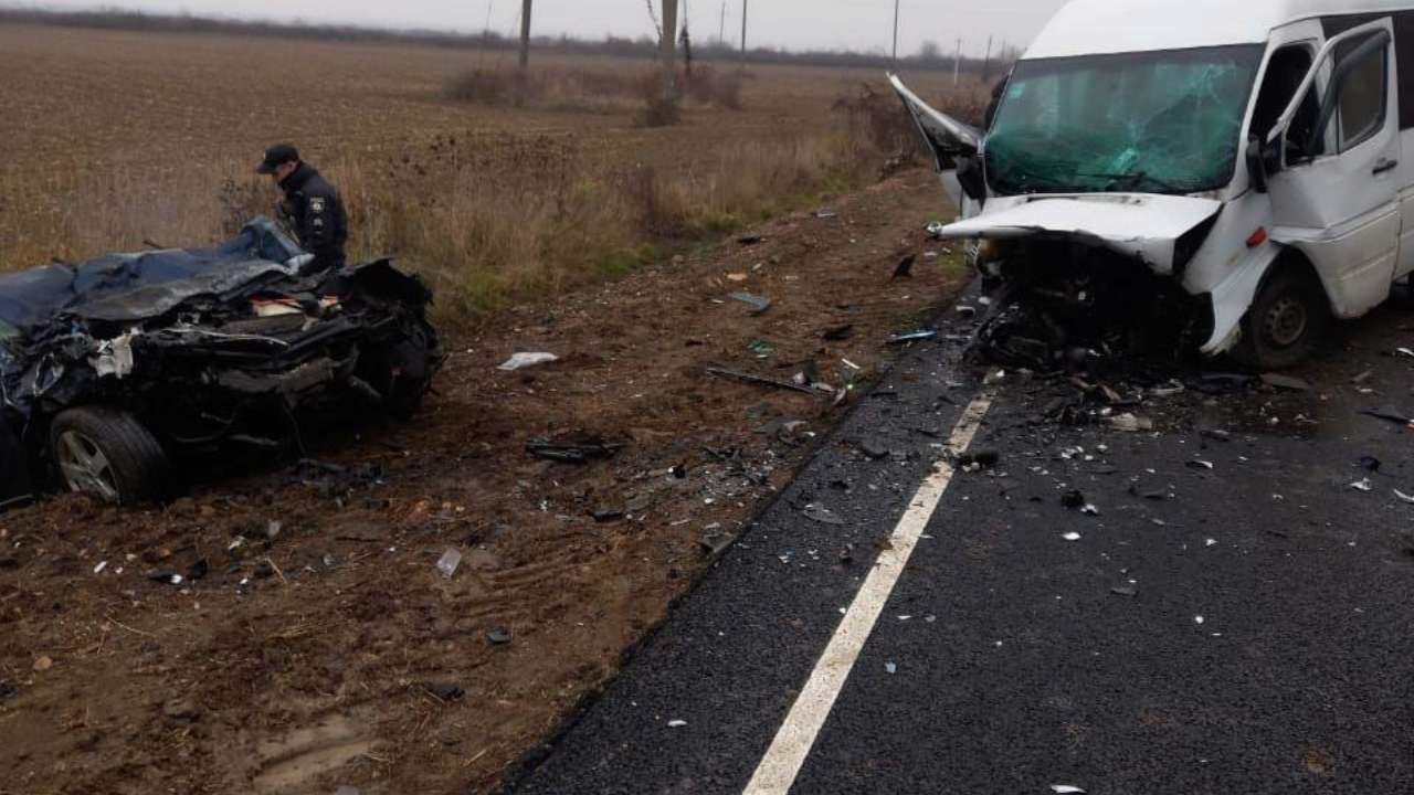 У Закарпатській області загинули водій та двоє пасажирів легковика / Фото: ГУНП