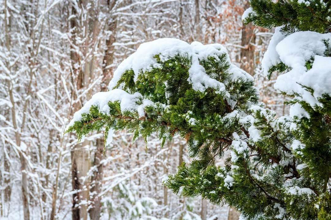 Прогноз погоди на 7 березня / Фото: Pixabay Мокрий сніг та ожеледиця: прогноз погоди на 7 березня