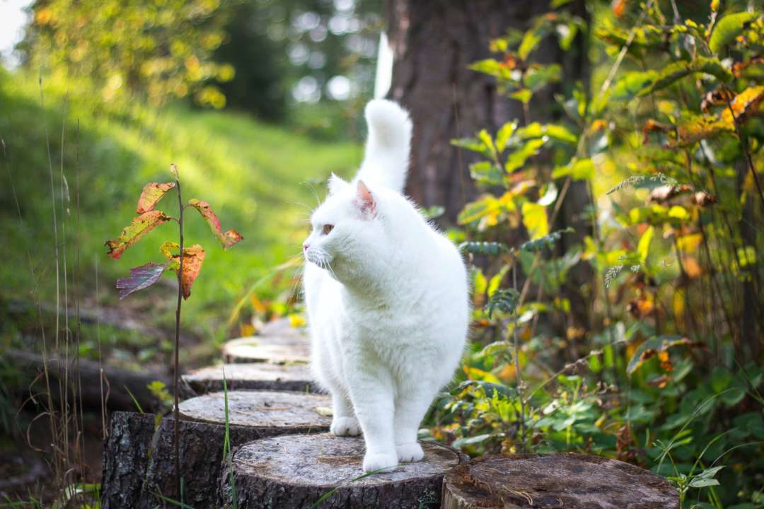 Кто празднует день ангела 8 ноября/Фото: Unsplash