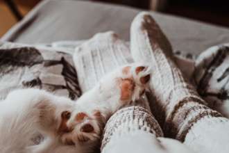 Факти про користь сну в шкарпетках/Фото: Unsplash Як швидко заснути: у чому користь сну в шкарпетках