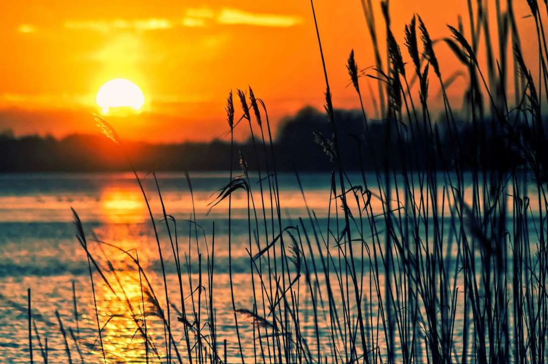 Фото: Pixabay/Автор- Tomasz Marciniak Погода на 26 сентября