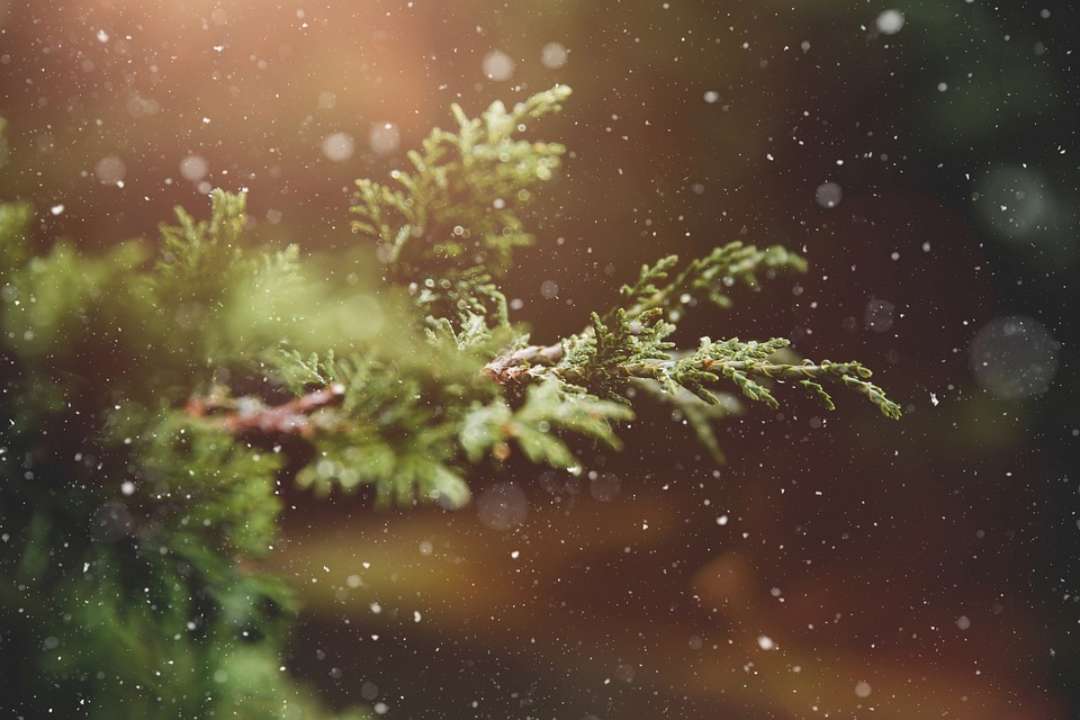 Прогноз погоди на 22 лютого / Фото: Pixabay Знову похолодання: прогноз погоди на 22 лютого