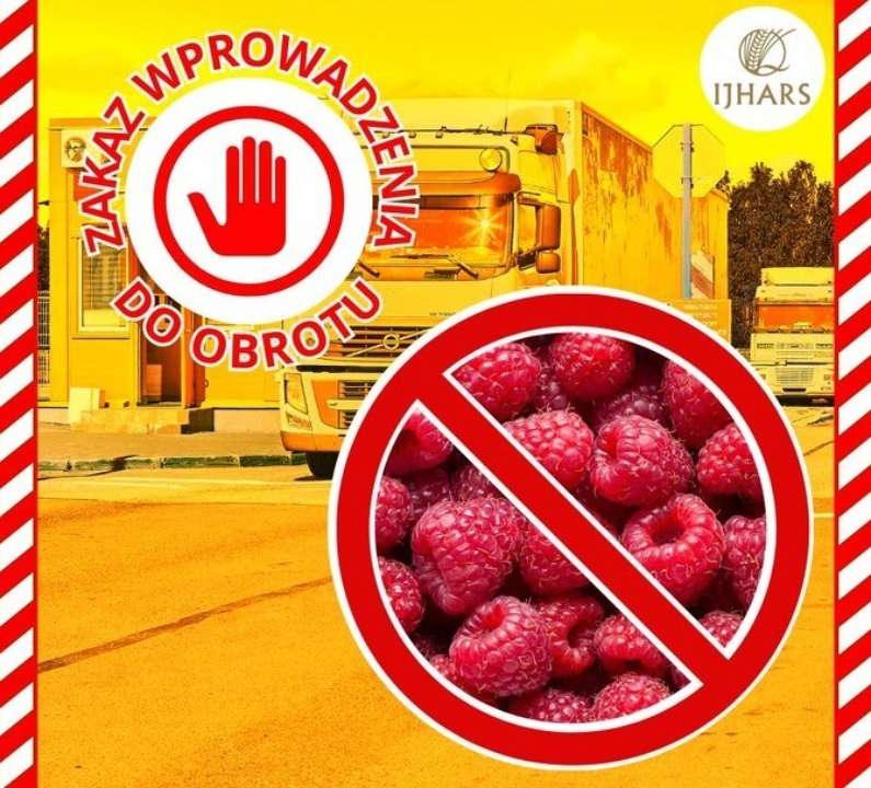 Польща заборонила ввезення до країни 20 тис. тонн замороженої малини з України