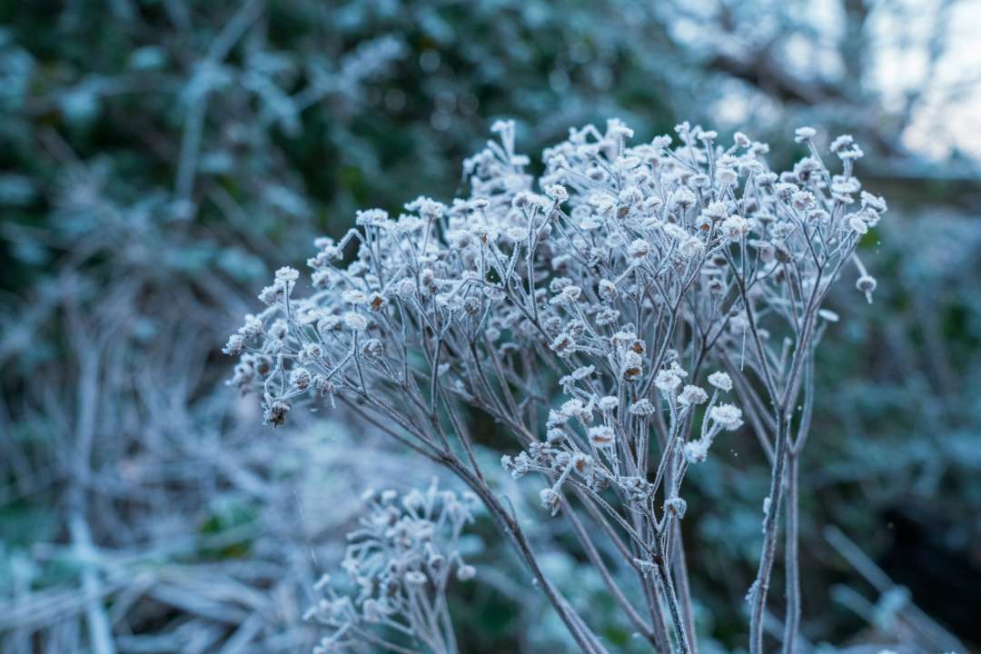 Кто празднует день ангела 23 февраля/Фото: Unsplash Кто празднует день ангела 23 февраля/Фото: Unsplash
