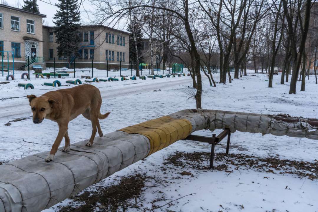 Петиція до Кабміну щодо створення у структурі Нацполіції підрозділу Зоополіції набрала 25 тис. голосів/Фото: Getty Images