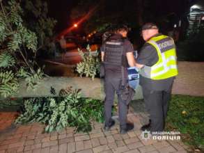У парку імені Шевченка в Києві впало дерево, є жертва/Фото: Нацполіція У парку імені Шевченка в Києві впало дерево, є жертва/Фото: Нацполіція