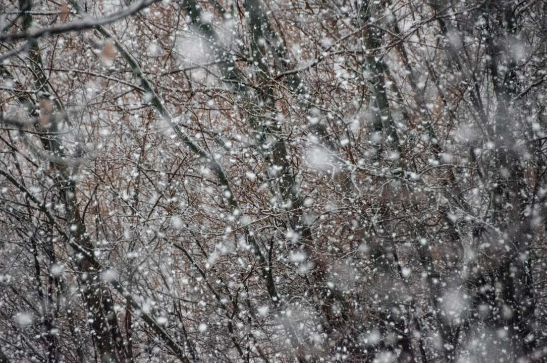 Погода в Україні на 13 грудня/Фото: Unsplash Погода в Україні на 13 грудня