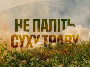 В ГСЧС напомнили о крупных штрафах за сжигание сухой травы / Фото: t.me/dsns_telegram В ГСЧС напомнили о крупных штрафах за сжигание сухой травы / Фото: t.me/dsns_telegram