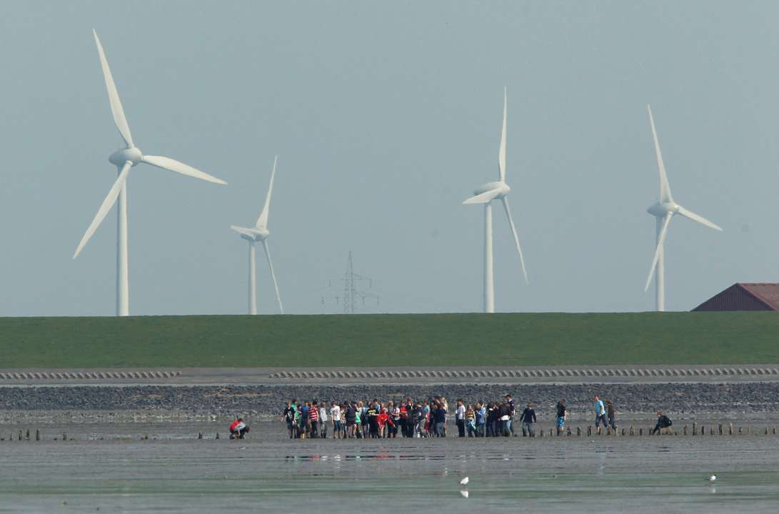 Фото: Getty Images/Автор - Sean Gallup Ваттовое море