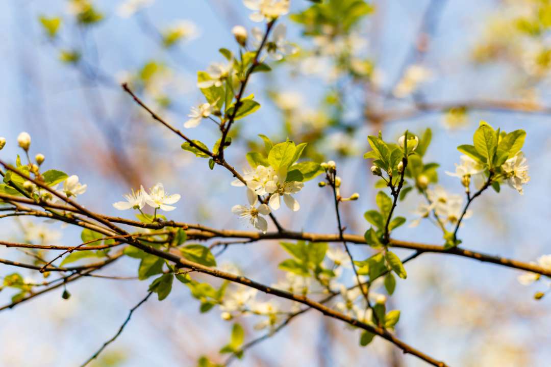 Синоптики анонсировали жару, но предупредили и о похолодании после нее / Фото: wirestock/Freepik