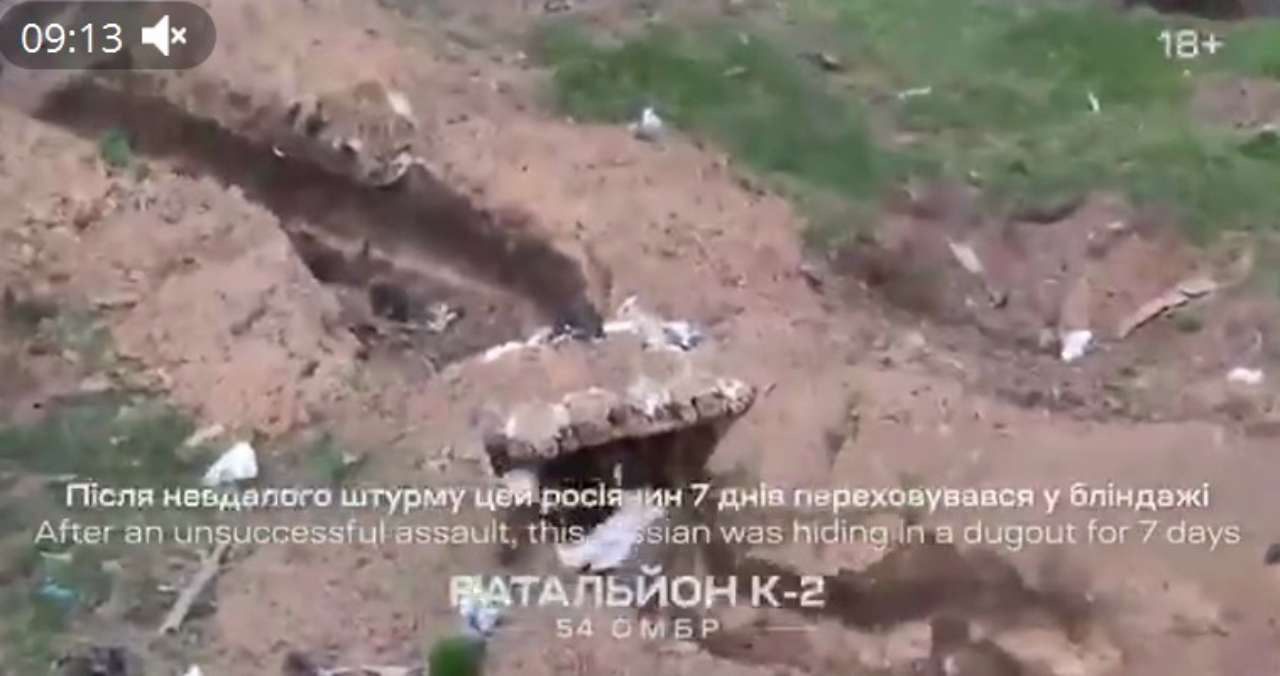 росіянин сам попросився в полон росіянин сам попросився в полон