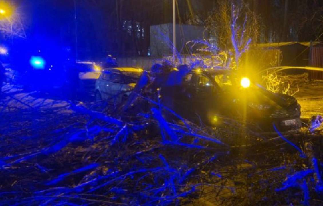 В Україні розгулялася негода: загинула людина/Фото: Інформатор В Україні розгулялася негода: загинула людина