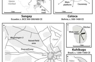 Изображение: Rostain et al., Science, 2024) Ученые обнаружили в Амазонии, вероятно, самое большое скопление древних потерянных городов