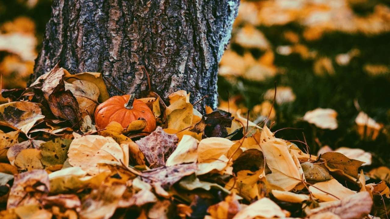 Погодные итоги самого теплого и сухого сентября в столице/Фото: Unsplash Погодные итоги самого теплого и сухого сентября в столице/Фото: Unsplash