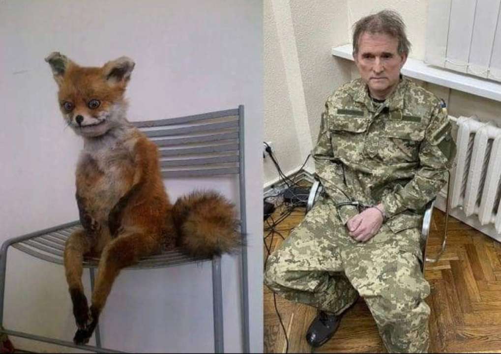 Медведчук