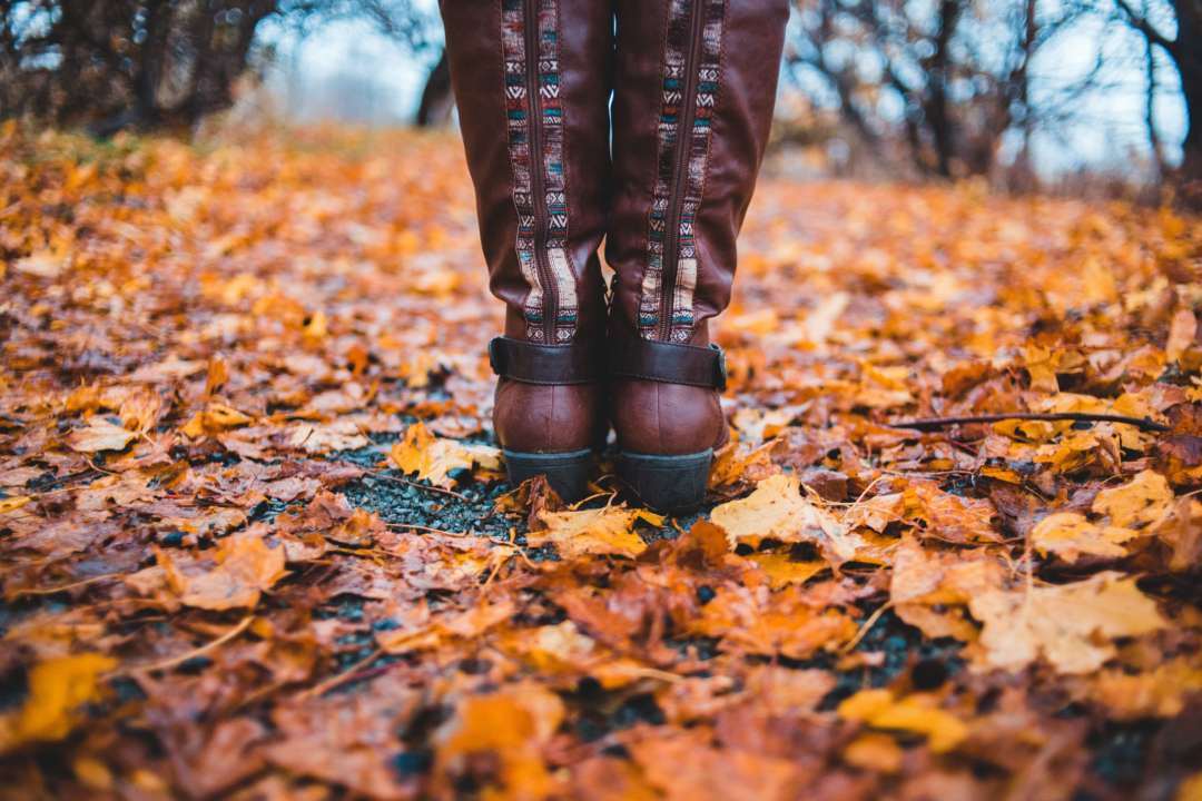 Прогноз погоды в Украине на 20 октября 2023 года/Фото: Unsplash Прогноз погоды в Украине на 20 октября 2023 года/Фото: Unsplash