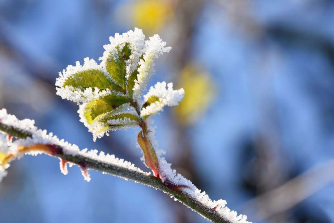 Народные приметы на 23 января: чего нельзя делать / Фото: Freepik Январь