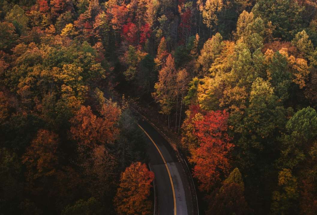 Прогноз погоди на Київ та область 20 жовтня 2024 року. Фото: Unsplash погода на київ сьогодні