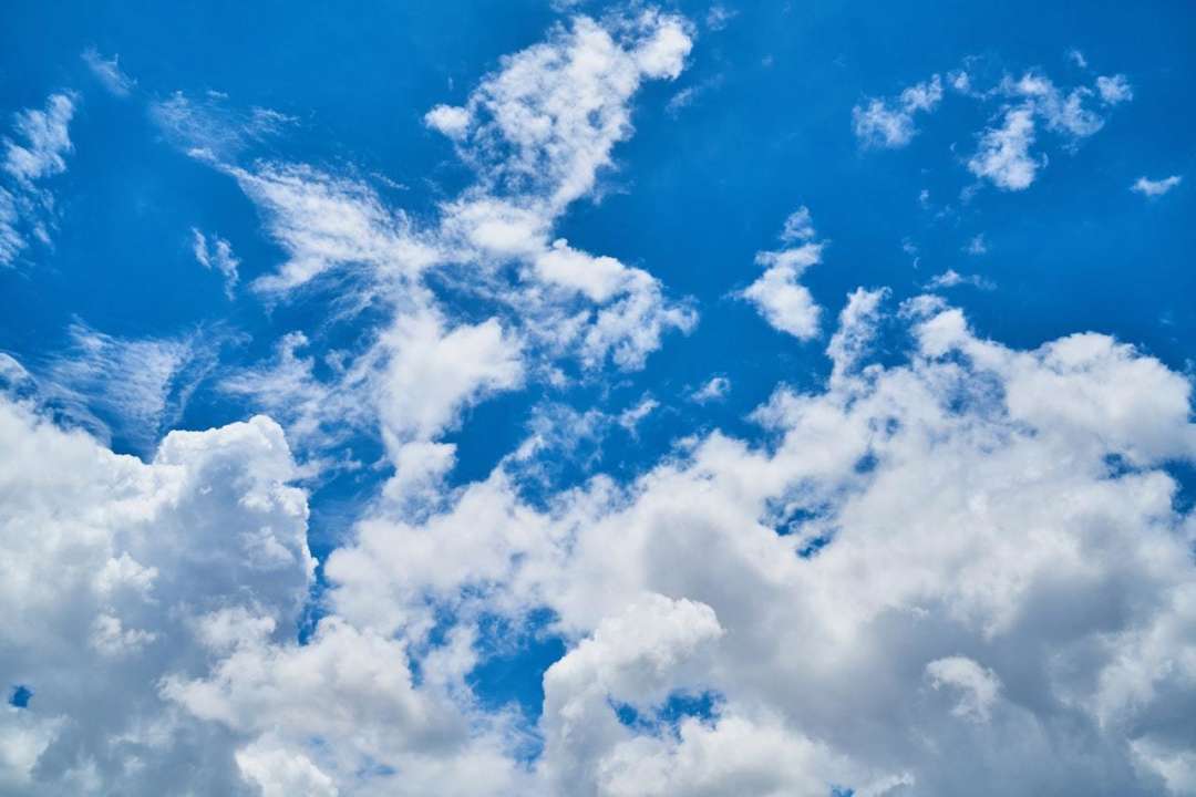 Прогноз погоды в Украине на 23 мая 2022 года