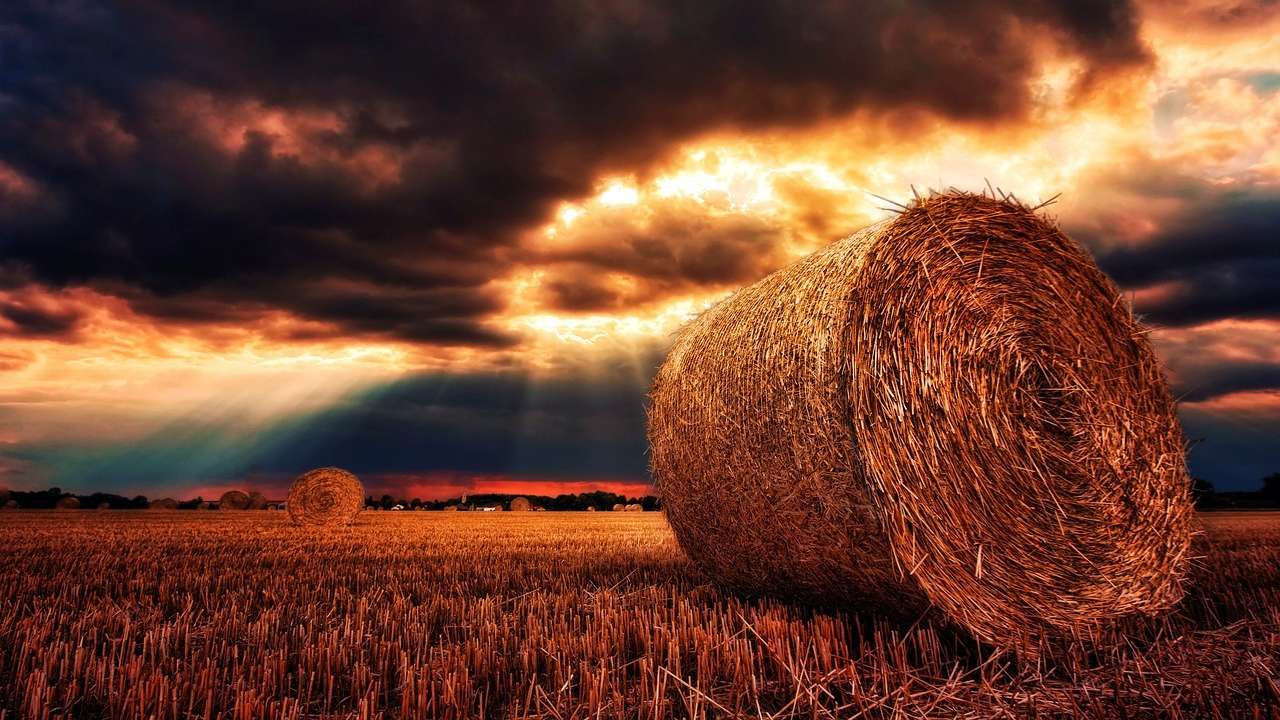 Приметы 20 июля / Фото: Pixabay Не занимайтесь домашней работой: приметы и запреты 20 июля