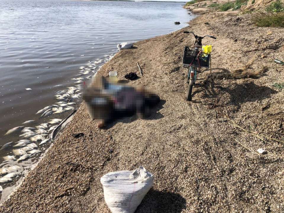 У Нікополі від осколків помер 71-річний чоловік У Нікополі від осколків помер 71-річний чоловік